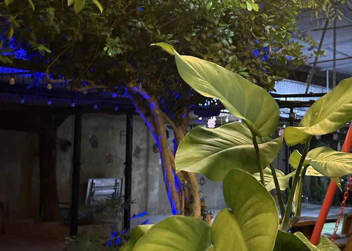 Keydeo House Nhà nghỉ